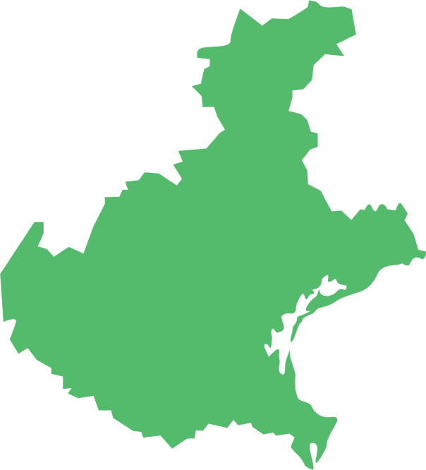 Veneto verde