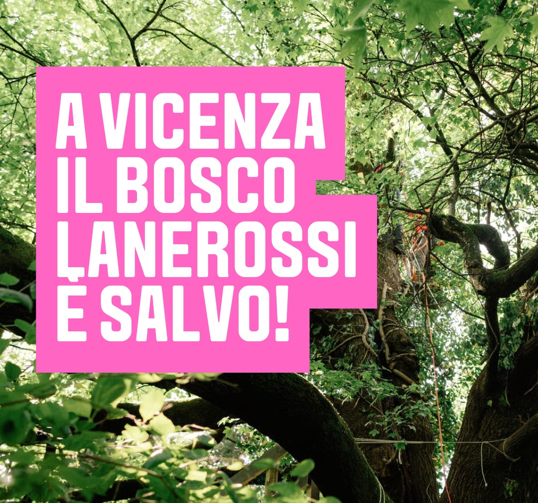 bosco Lanerossi