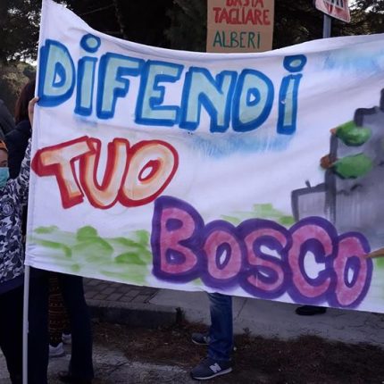 Manifestazione per salvare gli alberi a Tessera (Ve)