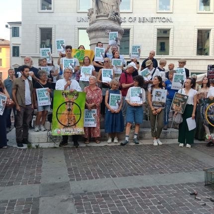Piazze gremite a Treviso e Verona con Licia Colò contro il DDL SPARATUTTO: AVS pronta alla battaglia con 1.000 emendamenti