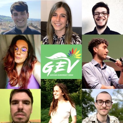 La voce dei giovani. Una nuova componente politica giovanile nel Veneto