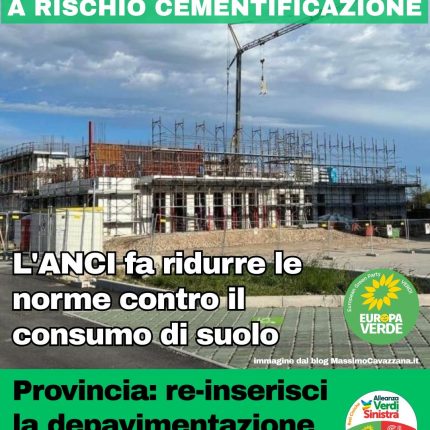 Tribano, 15 ettari di campi e la regola cancellata dal Piano Nazionale di Ripristino della natura