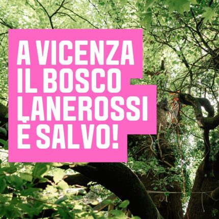 Bosco Lanerossi salvo, i portavoce Cappelletto e Ceola: “Comunità e bene comune devono sempre prevalere”