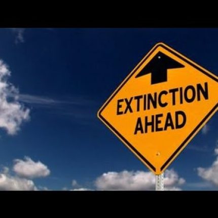 Il rapporto Ipbes 2019 lancia l’allarme: Il tasso di estinzione delle specie sta accelerando con un ritmo senza precedenti nella storia dell’umanità