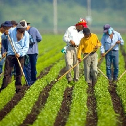 Una agricoltura pulita per il Veneto