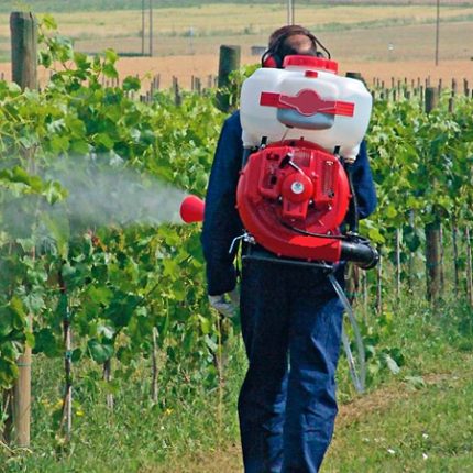 Ombre e scorrettezze nella procedura di approvazione dei pesticidi. La denucnia del Verdi Europei